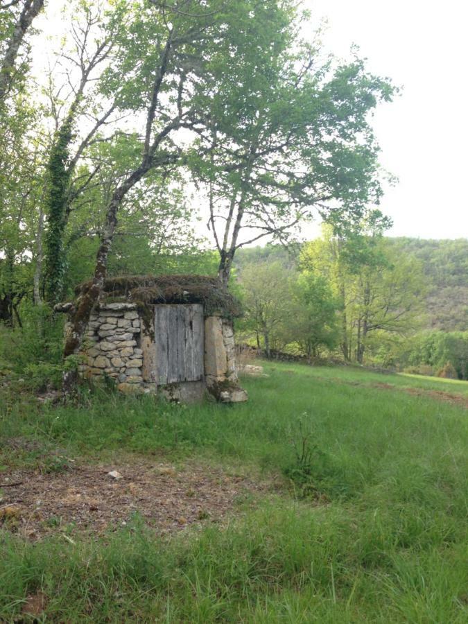 La Roulotte Clerelu - Du Domaine Des Ramonets Guest House Cahors Luaran gambar